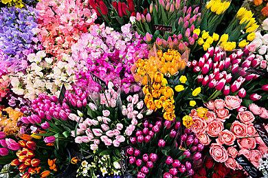 《魔咒之地》新截图公布 展示绚丽法术和唯美画面