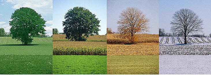 《龙珠战士Z》现已加入PC端Game Pass